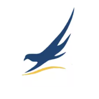 airline-logo